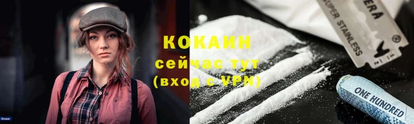 дживик Лагань