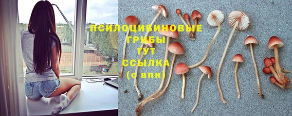 кокс Ладушкин