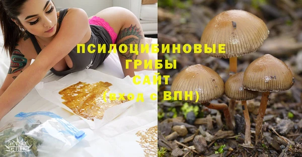 дживик Лагань