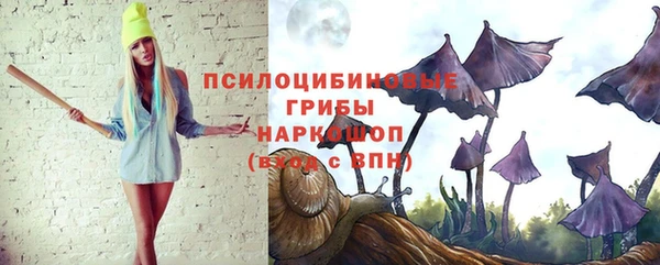 кокс Ладушкин