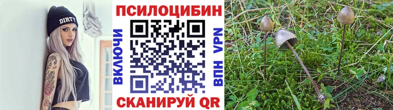 Галлюциногенные грибы Magic Shrooms  нарко площадка как зайти  Дегтярск 