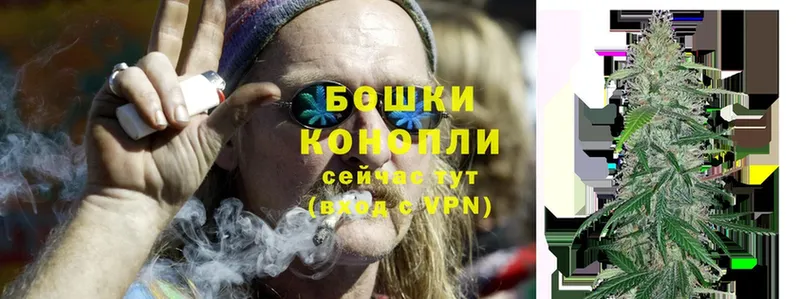 Канабис OG Kush  Дегтярск 